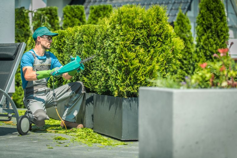 Proper Timing for Shrub Trimming