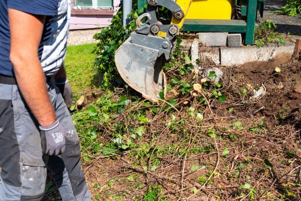 Hedge Removal Service in Brick