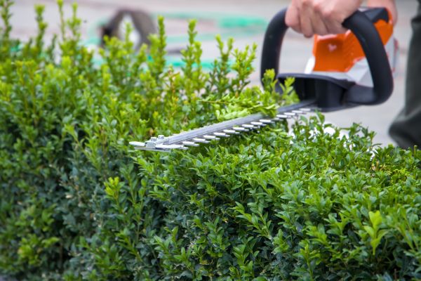 Hedge Shearing in Brick