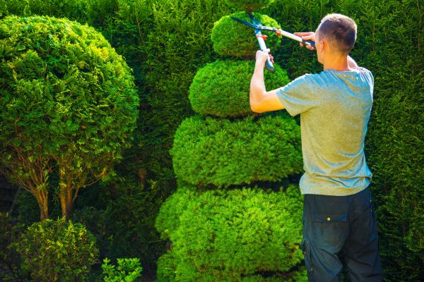Topiary Shaping in Brick