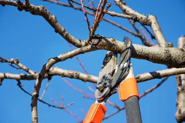 Cost of Selective Pruning in Brick