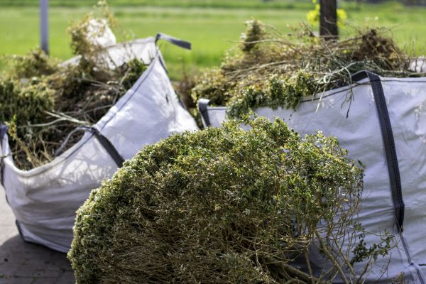 Cost of Shrubs Removal in Brick