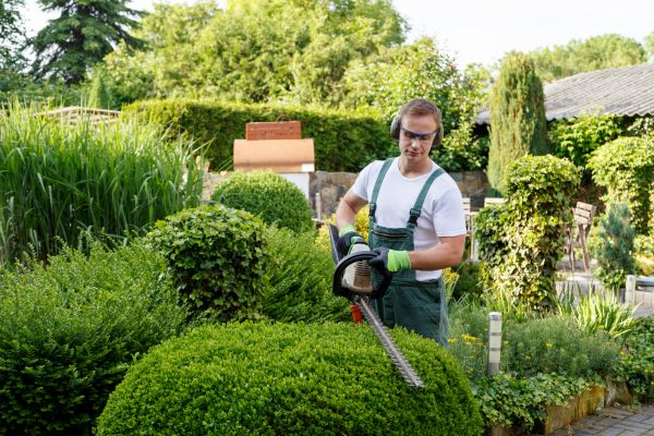 Shrubs Trimming in Brick